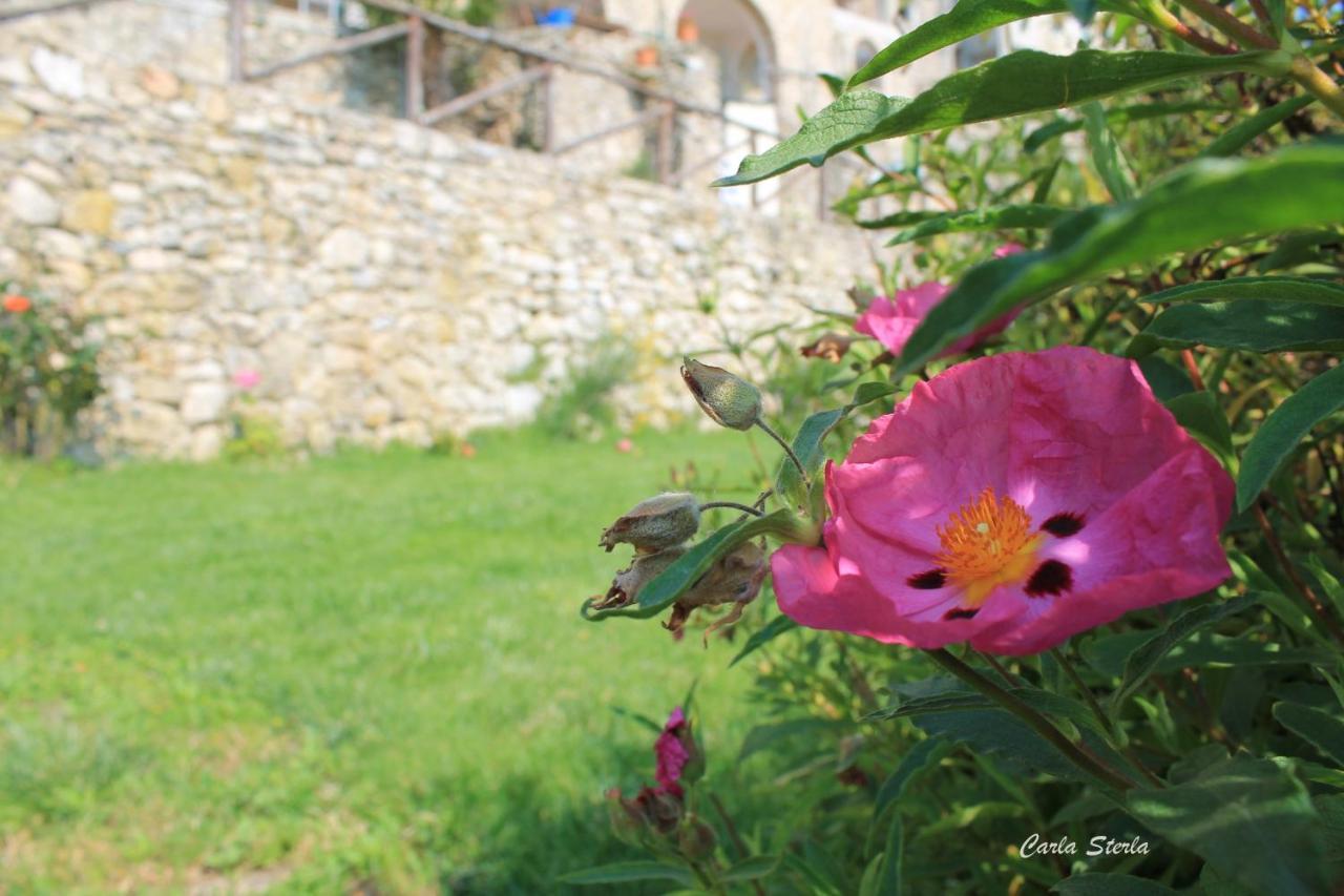 B&B Rubando Le Nuvole Орко-Фельино Экстерьер фото